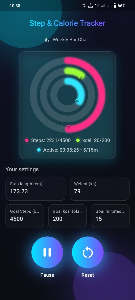 Step and Calorie Tracker – screen 2